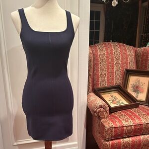 Aritzia Dress NWT
